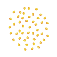 Corn image