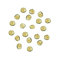 Courgette image