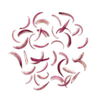 Onion image