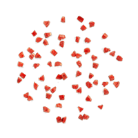 Tomato image